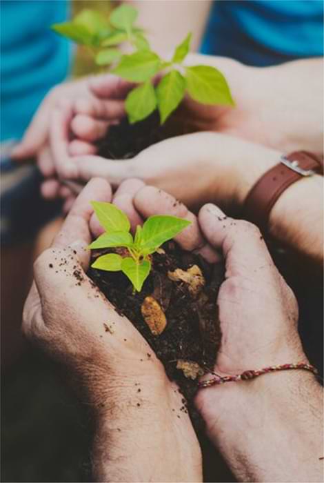 NGO REGSITRATION KUDOS STARTUP